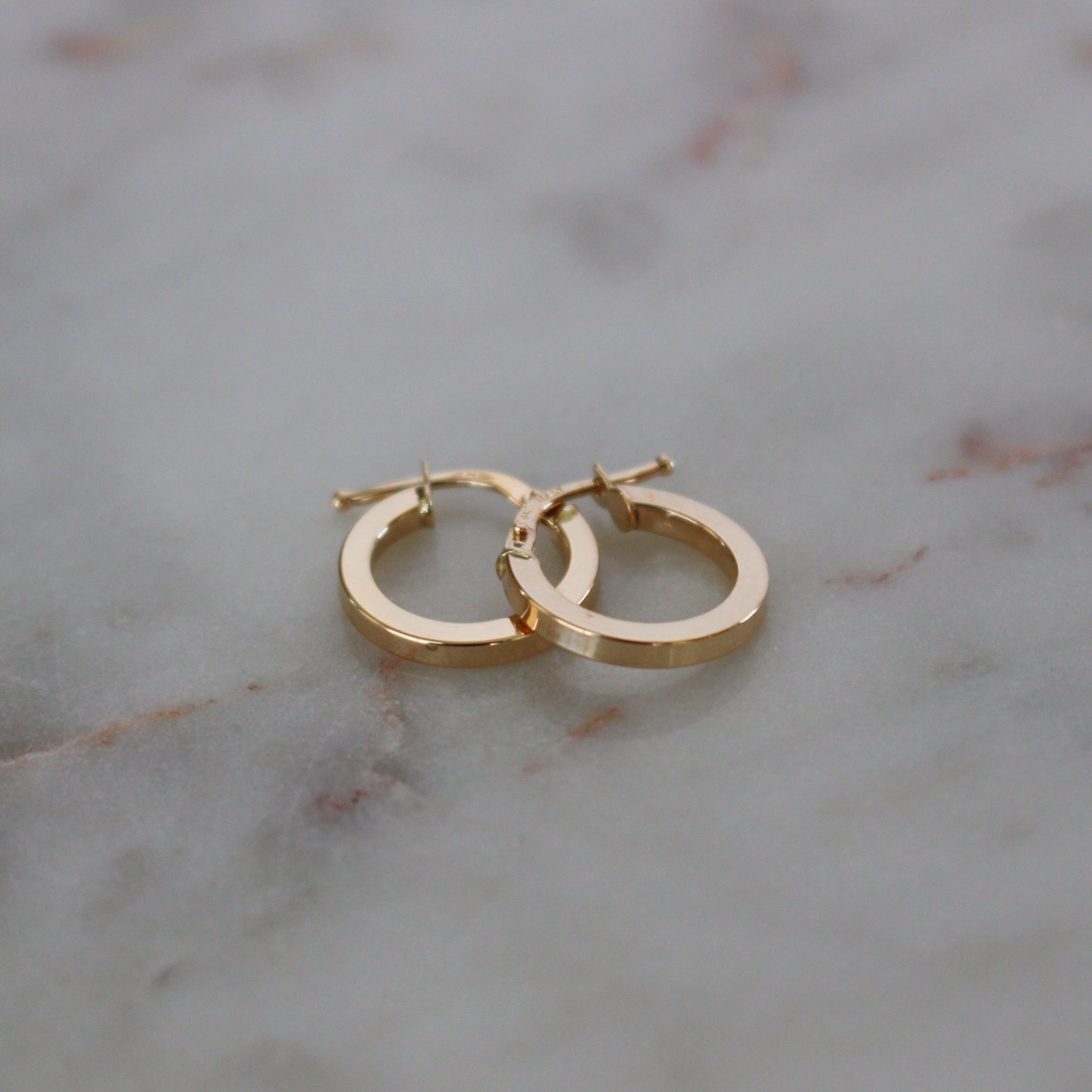 image of two hoop earrings