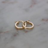 image of two hoop earrings