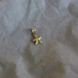 Gold star-shaped earring on crumpled paper