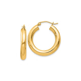 The Bold Gold Hoops